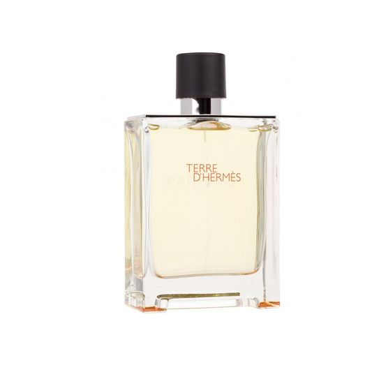 Terre D'Hermes - 100 ML